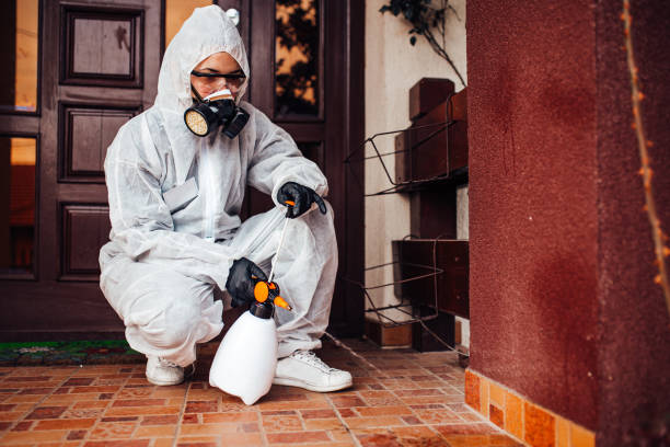 Reliable Cockroach Control contractor in Haskell, TX by Nex Pest Control